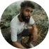 Lineu